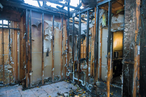 Professional Fire Damage Repair technician working in Fobes Hill, WA